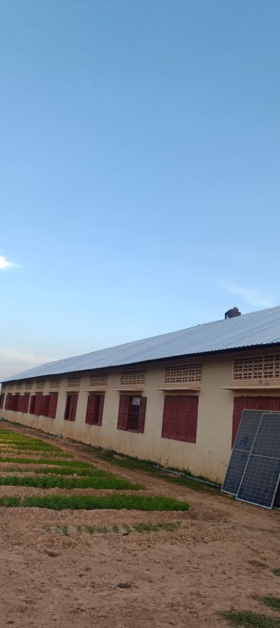 Roof construction at Boeung Chum Primary School