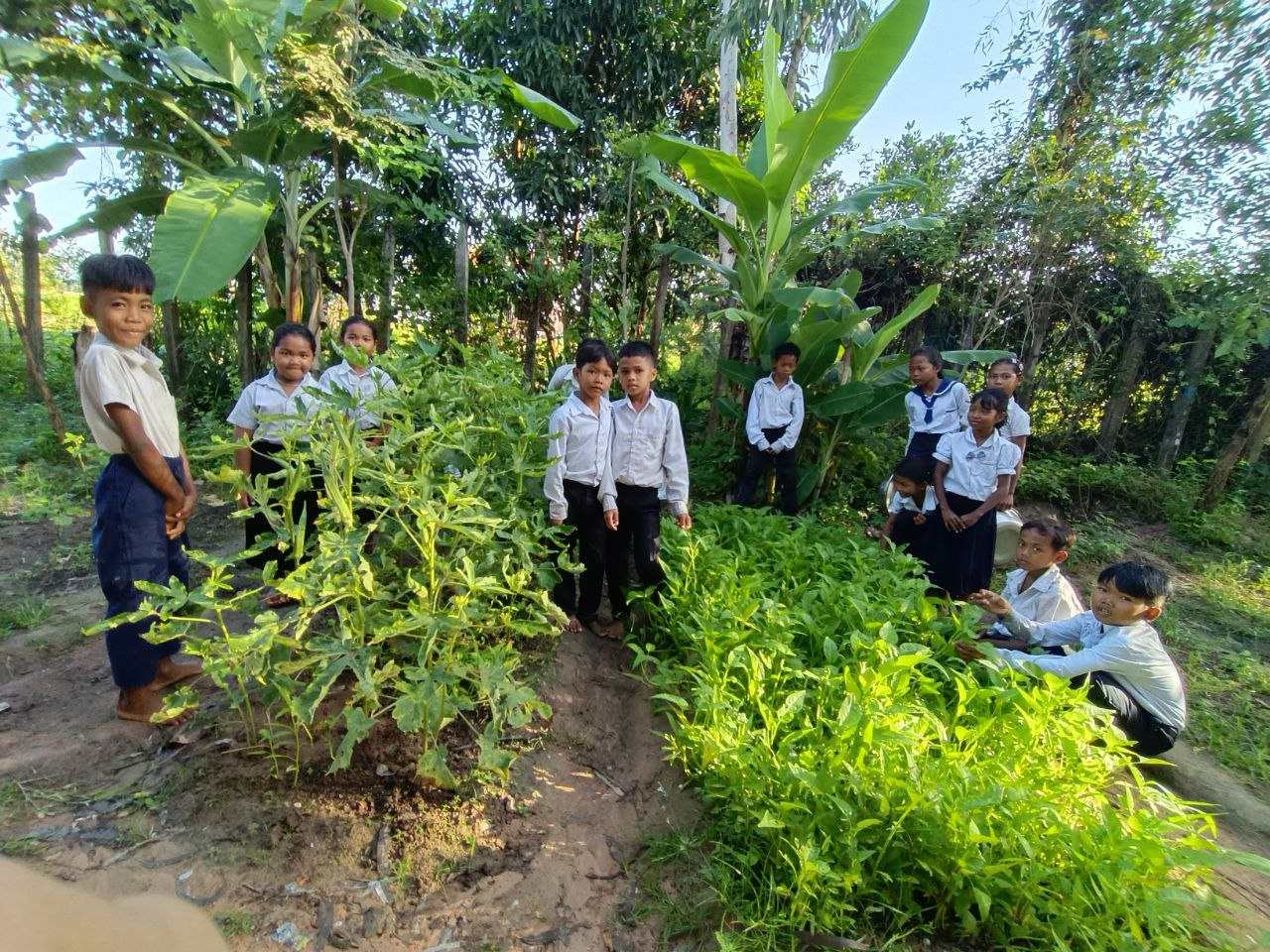 School Garden Project: Growing Vegetables, Growing Skills – photo 4