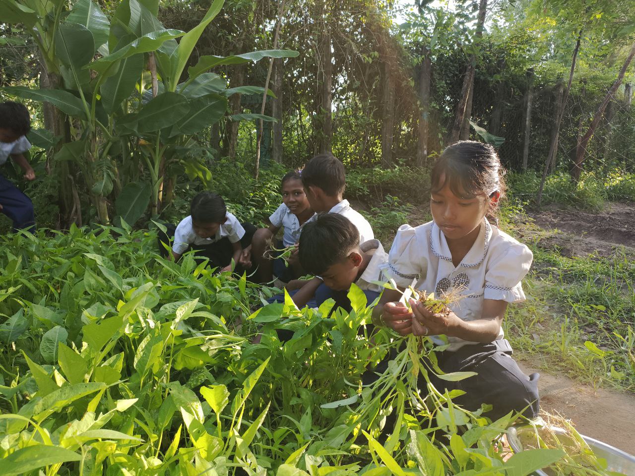 School Garden Project: Growing Vegetables, Growing Skills – photo 5