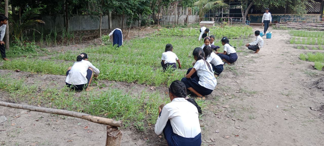 School Garden Project: Growing Vegetables, Growing Skills – photo 11