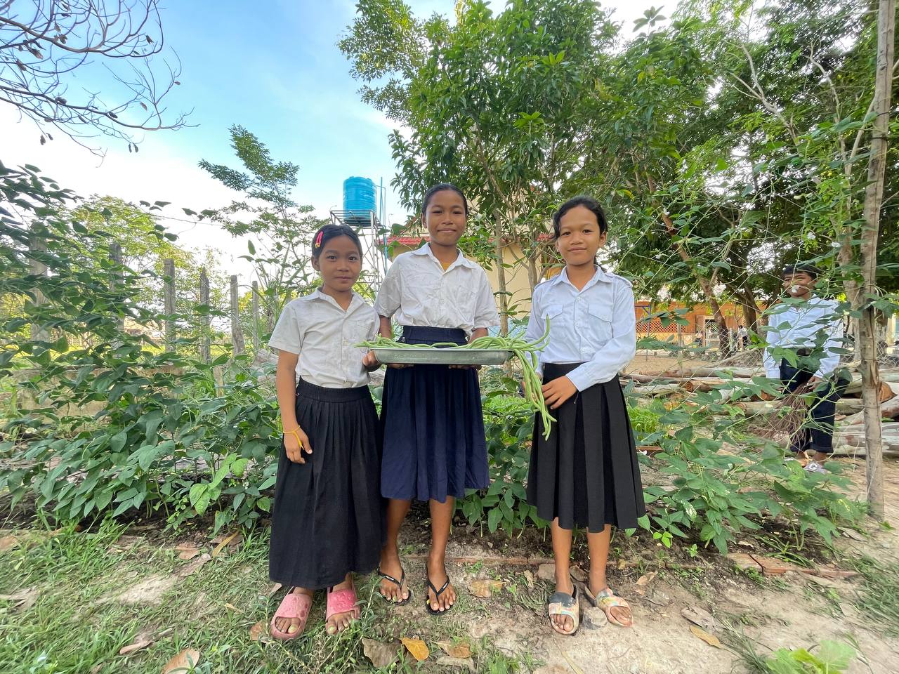 School Garden Project: Growing Vegetables, Growing Skills – photo 1