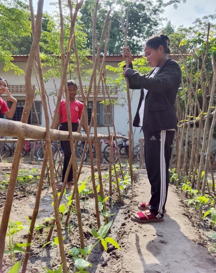 School gardens – photo 4