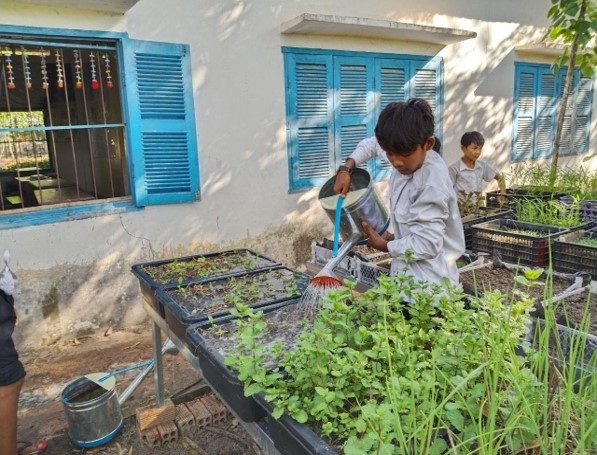 School gardens – photo 8