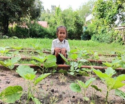 School gardens – photo 12