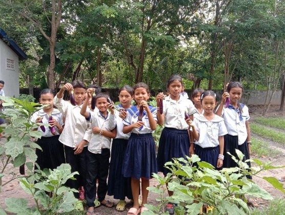 School gardens – photo 14
