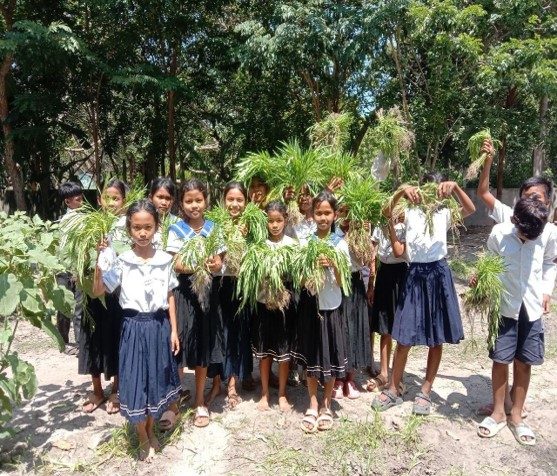 School gardens – photo 15